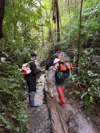 Jinuo Mountain | A complete guide to hiking in the rainforest with a 5-year-old!