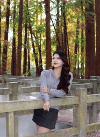 廣州1h週末躺平|肇慶山水吸氧天花板