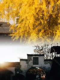 迄今為止,我最愛的江南古鎮出現啦