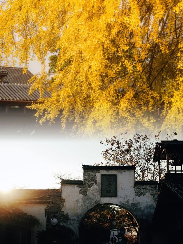 迄今為止,我最愛的江南古鎮出現啦 迄今為止,我最愛的江南古鎮出現啦