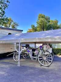 上海秘密花園,小眾城堡美翻了