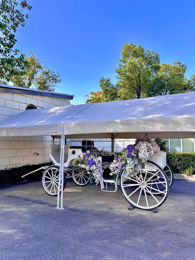 上海秘密花園,小眾城堡美翻了 上海秘密花園,小眾城堡美翻了