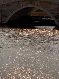 上海水下5000年｜廣富林紅楓，染透千年秋韻