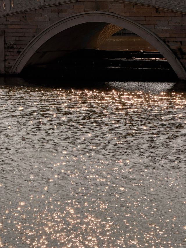 上海水下5000年｜廣富林紅楓，染透千年秋韻