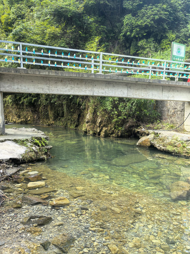 小長假美國14天 玩到爽攻略來啦