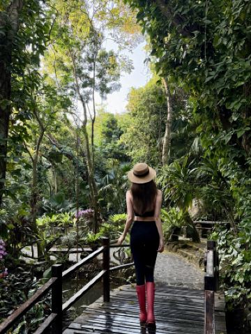 三亜熱帯雨林 北緯18度のグリーンワンダーランド