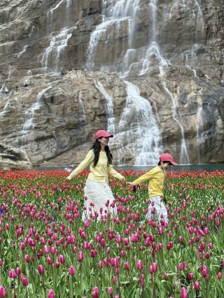 คำถามที่พบบ่อยที่สุดเกี่ยวกับการเดินทางท่องเที่ยวแบบครอบครัว! คู่มือฉบับสมบูรณ์สำหรับเที่ยวชมดอกทิวลิปเป่าฉวน พร้อมแผนการเดินทาง!