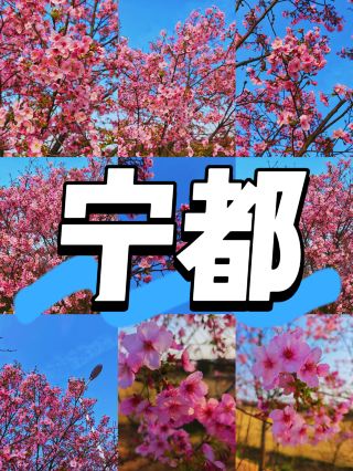 --- ดินแดนสีเขียวมรกตและดินแดนดานเซี่ย ดินแดนแห่งวัฒนธรรมและบทกวี – คู่มือการท่องเที่ยวเชิงลึกหนิงตู ภาพรวมหนิงตู อำเภอหนิงตูตั้งอยู่ทางตะวันออกเฉียงเหนือของเมืองกานโจว มณฑลเจียงซี