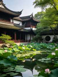蓮池書院|保定夏日荷塘古風秘境