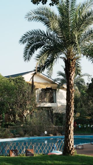 Around Jiangsu, Zhejiang and Hu | Hiding in Anji to escape the summer, raising children is not tired, mom