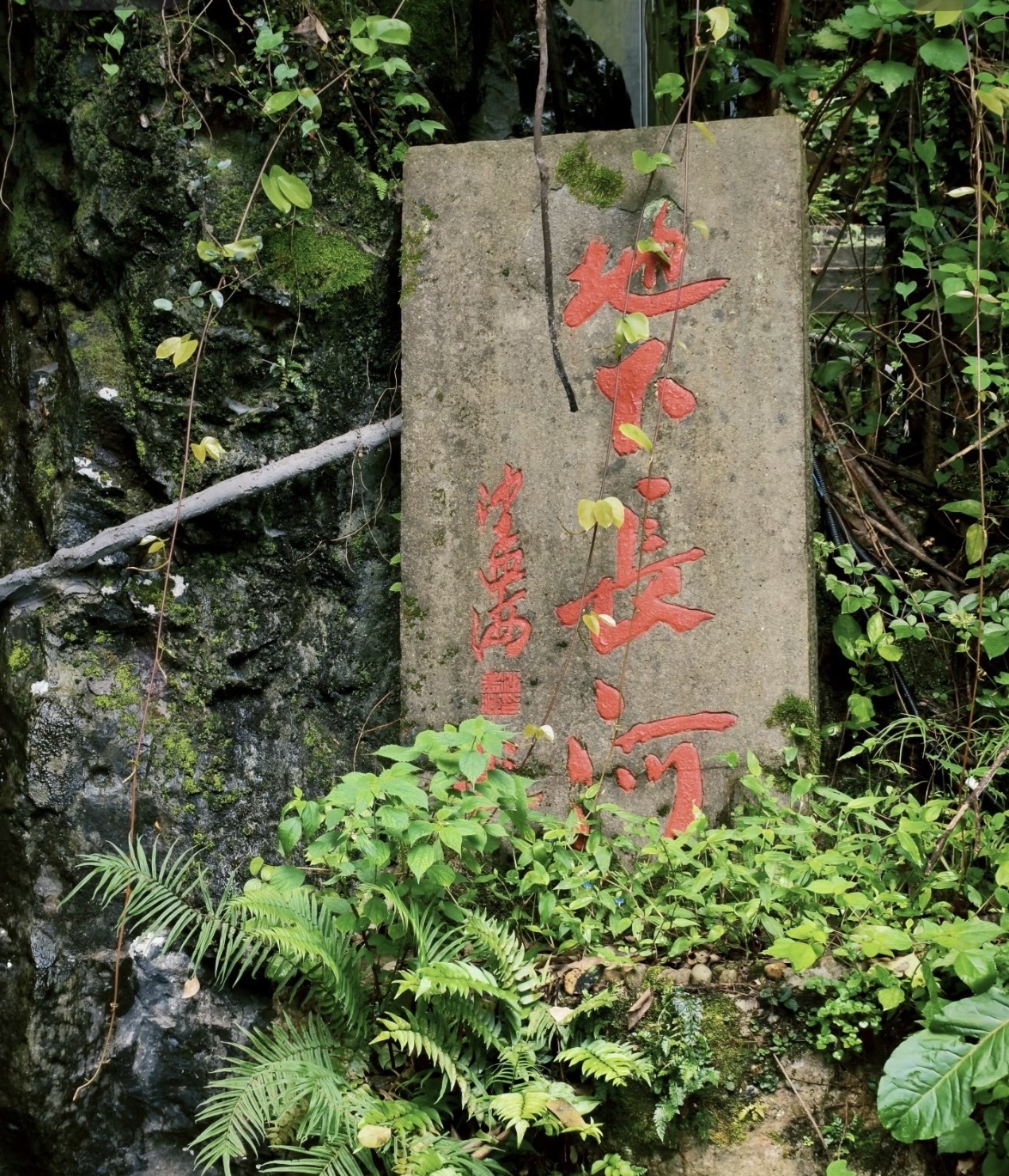 避暑勝地！金華18°C地下長河也太涼快了吧