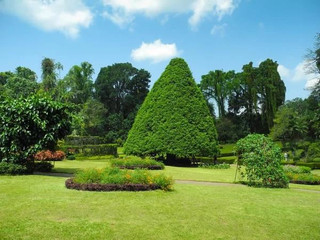 Exploring Sri Lanka's Lush Green Retreats