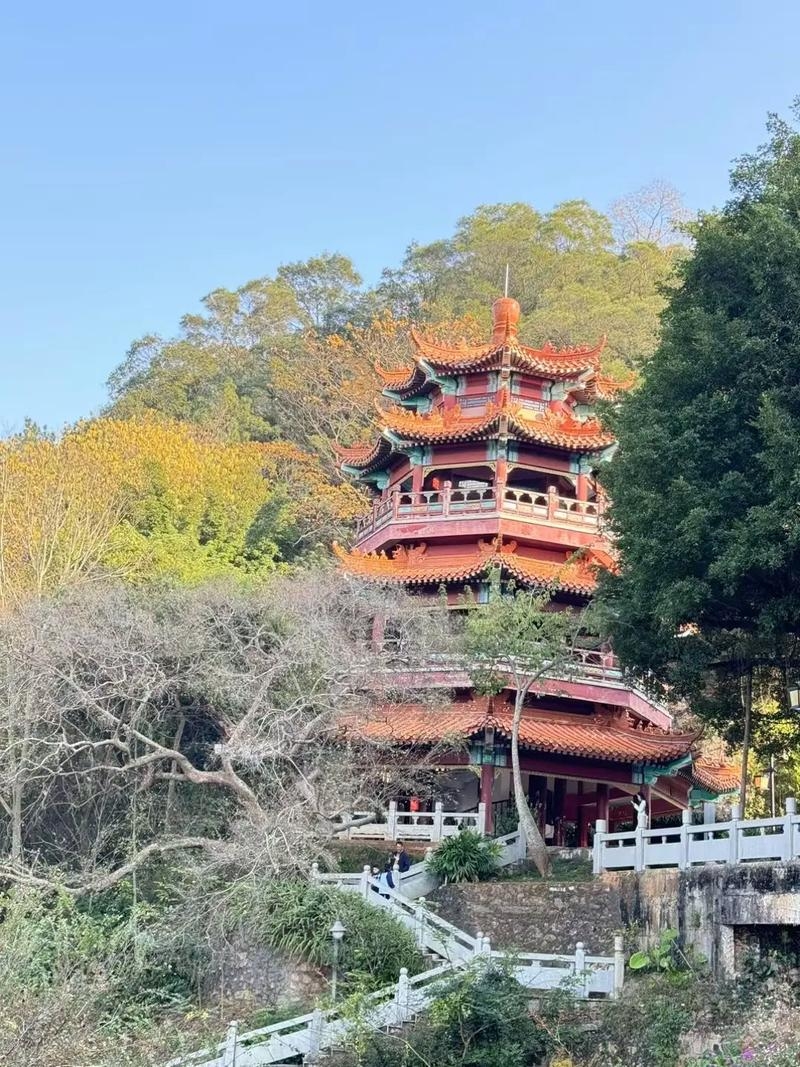 **Meizhou Shenguang Mountain | A Forest Oxygen Bar on the Edge of the City, a Dual Healing Experience of Pilgrimage and Nature** Located only 3 kilometers from Xingning city center, Shenguang Mountain is a forest oxygen bar...