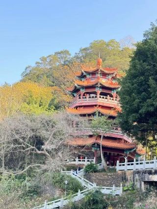 **Meizhou Shenguang Mountain | A Forest Oxygen Bar on the Edge of the City, a Dual Healing Experience of Pilgrimage and Nature** Located only 3 kilometers from Xingning city center, Shenguang Mountain is a forest oxygen bar...