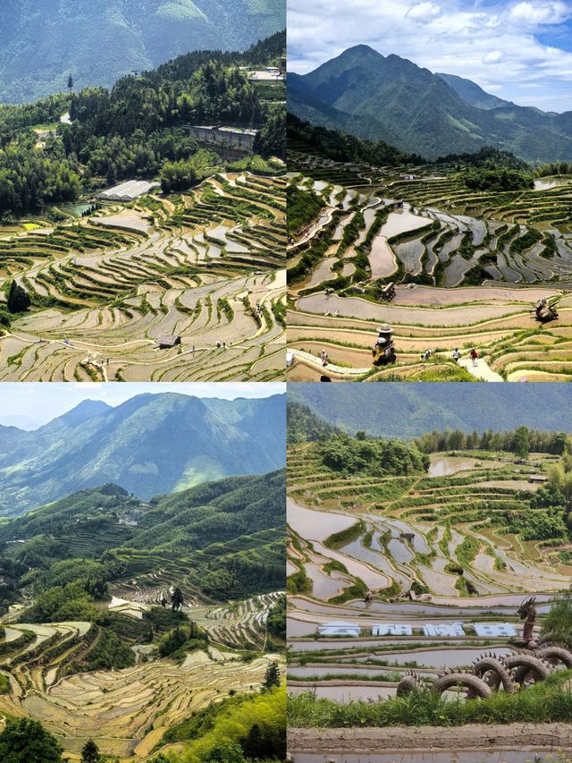 :被國家地理評為「中國最美梯田」!雲和梯田保姆級攻略|Trip.com 雲和