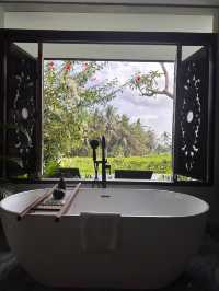 Absolutely Stunning Hotel Stay in Bali
