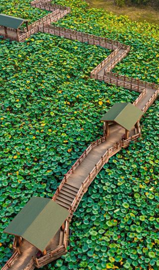 A low-key, hidden gem of a water town, where local life and beautiful scenery coexist