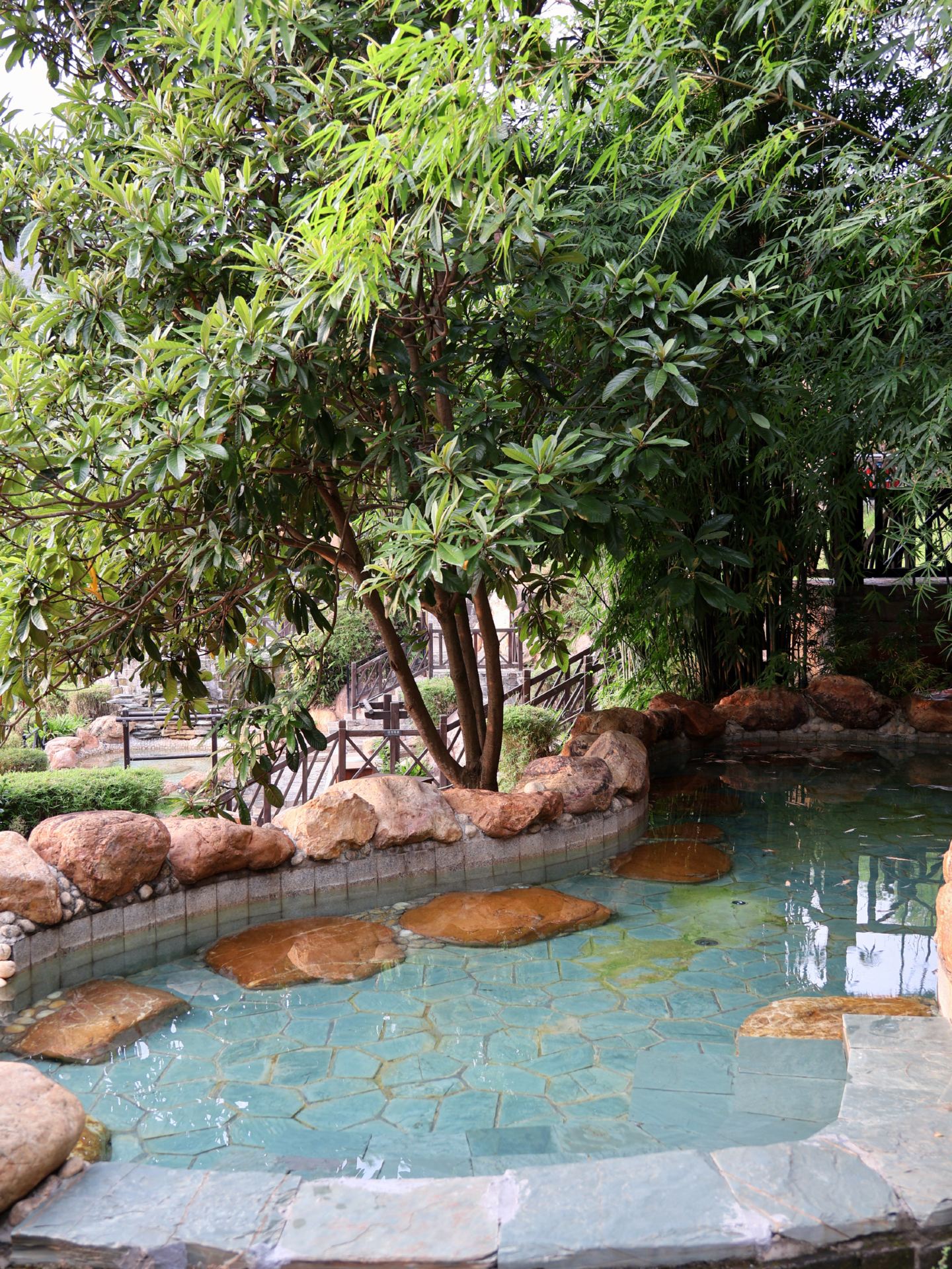 Wuhan Autumn/Winter Short Getaway | Tianye Muge Langkou Forest Hot Spring
