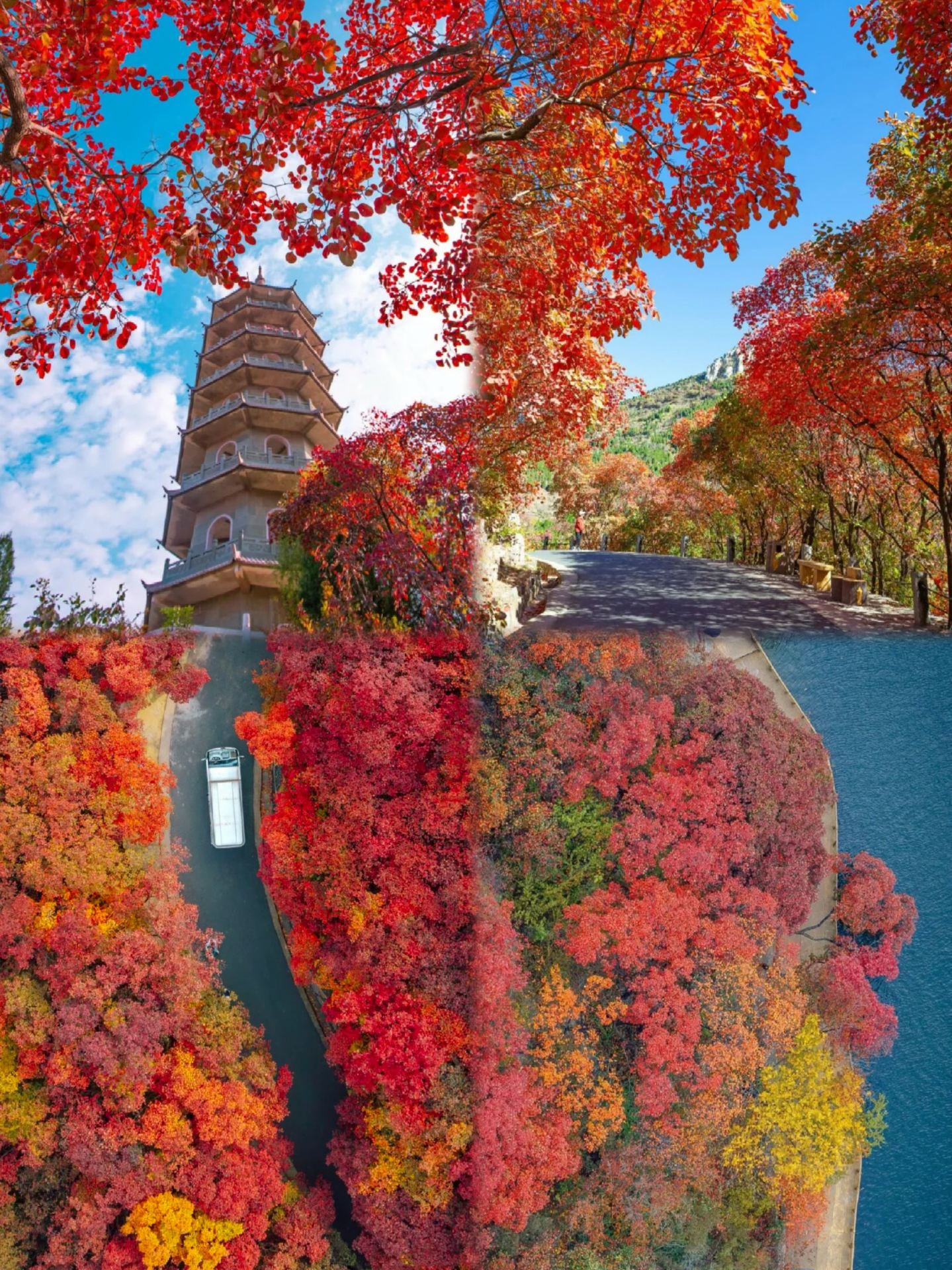 Shandong's autumn highlights: local secrets, no tourist traps