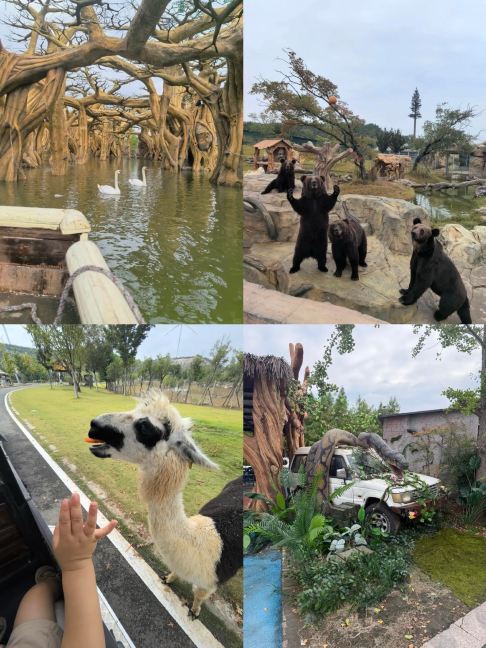 🐼🇨🇳 Парк дикой природы горы Цзюдин, город Сюйчжоу (徐州九顶山野生动物园) — интересно посетить, не слишком многолюдно и не слишком утомительно гулять.