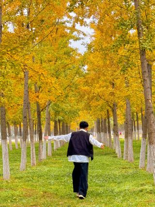 Already looking forward to autumn in Xi'an 🍁 (location included)