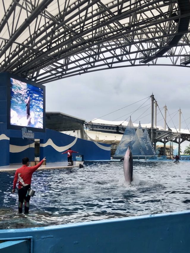 Farglory Ocean Park 🐬 – Hualien