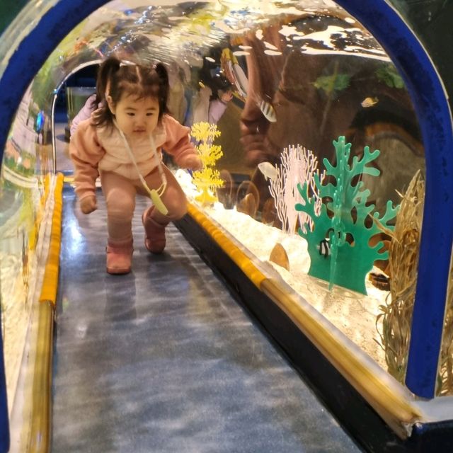 🦈🐠롯데월드몰 아쿠아리움에서 물고기 먹이주기🐬🐳