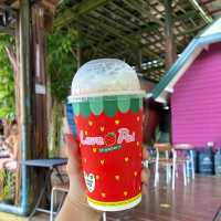 태국 빠이 시그니처 왕딸기🍓사진찍기 좋은 딸기카페