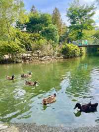 ์ฌ๊ธฐ ๊ฒฝ์ฃผ ๋ง์...?? ๐๐