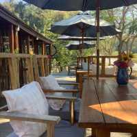 Bee & Rose café