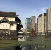 Palace right in the central of Tokyo 