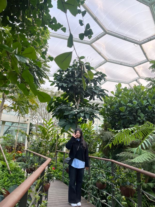 부천 실내 데이트로 강추하는 상동호수공원 수피아 식물원 🌿