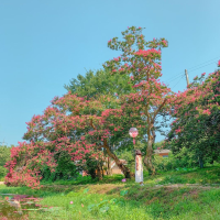예쁜 계절 여름, 담양 여행코스 추천🌸💖