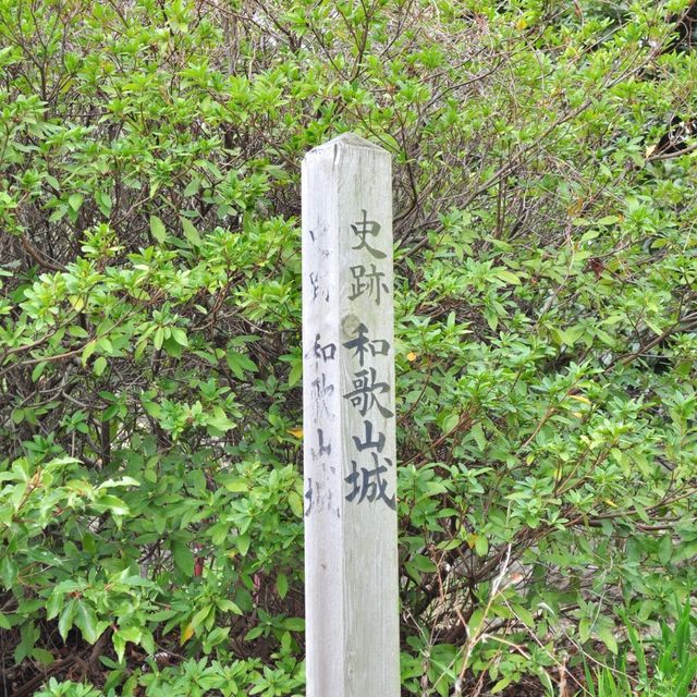 和歌山城 🏰 