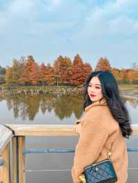 偽旅行賞紅葉之香港濕地公園🍁