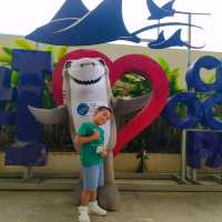 Seas the day at Cebu Ocean Park 🌊