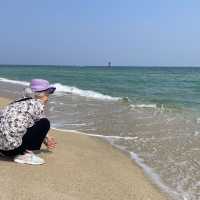 서퍼들이 좋아하는 파도가 몰려온다! 강릉해수욕장🏖️