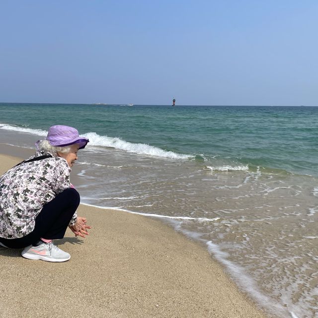 서퍼들이 좋아하는 파도가 몰려온다! 강릉해수욕장🏖️