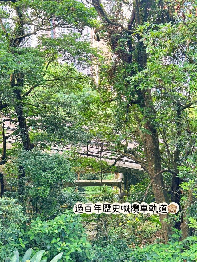 ⭐️山頂秘景～婚攝勝地👩🏻‍❤️‍👨🏻白加道纜車站