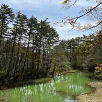 【福島・絶景】神秘の湖沼「五色沼」