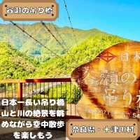 谷瀬の吊り橋