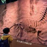 玩轉恐龍展