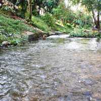 เตวแอ่ว คาเฟ่เฮาส์ @Take a Walk  