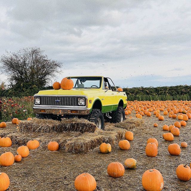 【巨大なカボチャ畑！】カナダでハロウィンを初体験！inリッチモンド