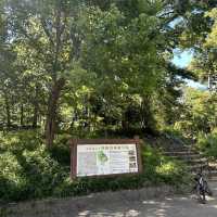 世田谷城址公園