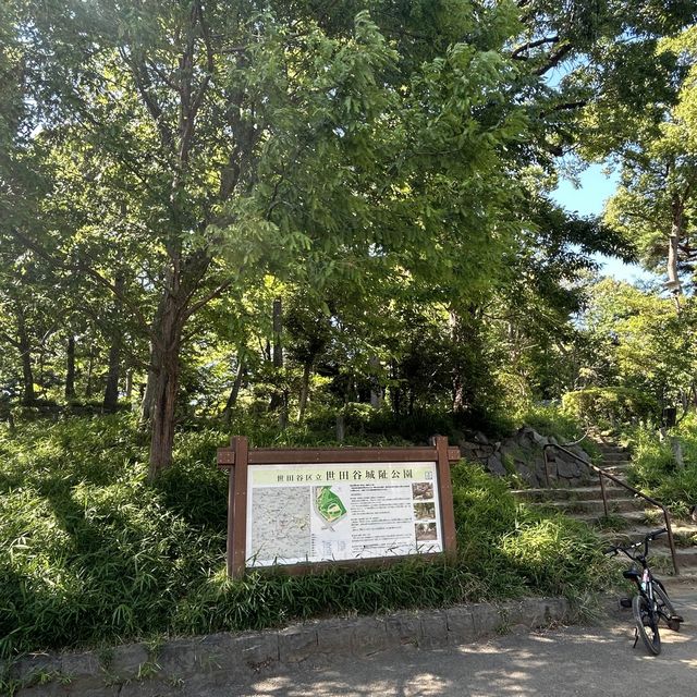 世田谷城址公園 世田谷城址公園