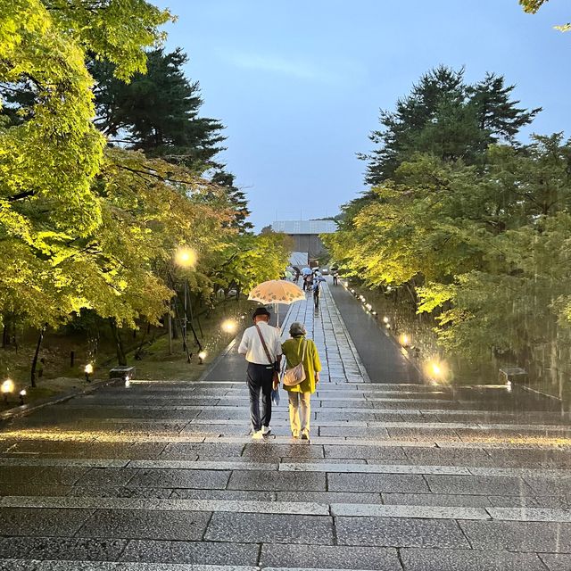 【京都】世界遺産のお寺でライトアップ✨