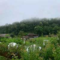 สวนอีเดน ม่อนแจ่ม Eden Gardens Resort