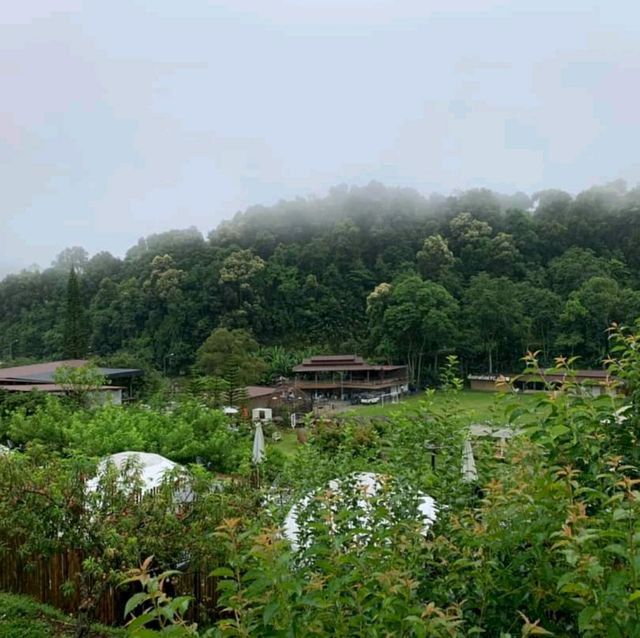 สวนอีเดน ม่อนแจ่ม Eden Gardens Resort
