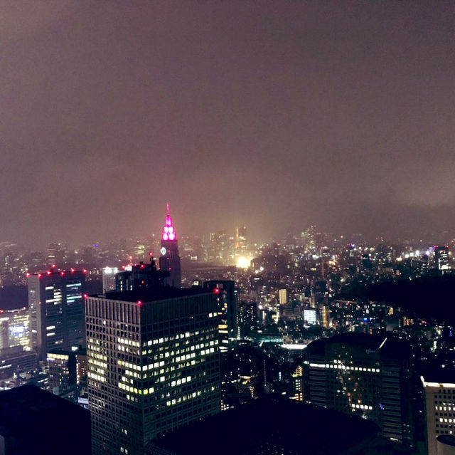 東京都庁展望室